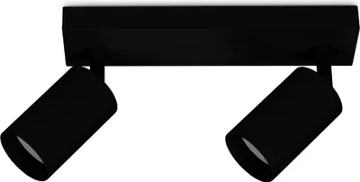 A black ceiling spotlight with two adjustable heads, shown against a white background.