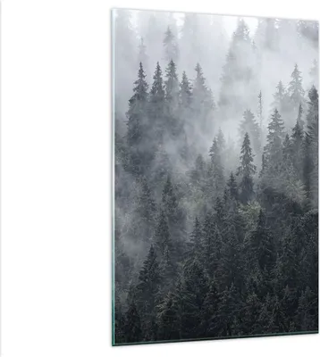 Produktbild von Bilder auf glas - Einteilig - Wald Baum Natur - 80x120cm - Glasbilder - Wandbilder - Bilder - zum Aufhängen bereit - Wanddekoration aus Glas - Glas Bilder - Wandbild auf Glas - GPA80x120-4074