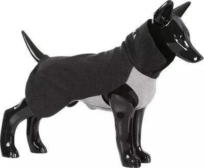 Produktbild von PAIKKA Hunde Pullover wärmend "Recovery Winter Shirt" grau