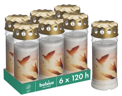Zdjęcie produktu dla Lampion 5D Golab (6) ** Bolsius