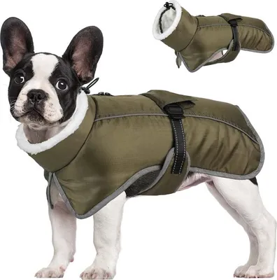 Produktbild von Wasserdichte Winterjacke für Hunde - Gefütterte & Wärmende Hundekleidung, Ideal für Kaltes Wetter M