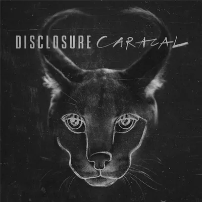 Produktbild von Disclosure-Caracal