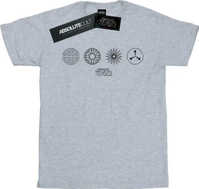 Produktbild von Fantastic Beasts - T-Shirt für Herren BI24864 (3XL) (Grau)