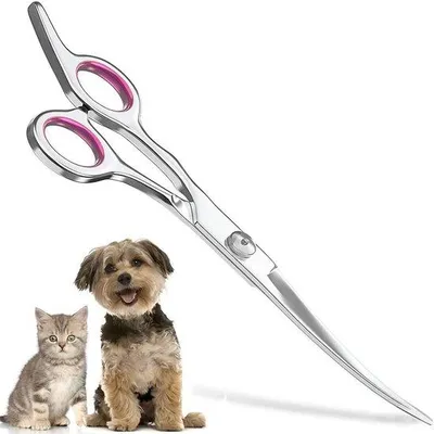 Produktbild von Hundeschere 15 cm Edelstahl gebogen für Hunde und Katzen