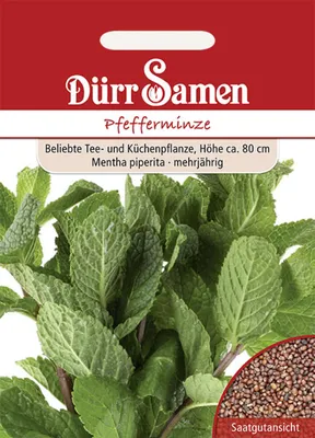Produktbild von Dürr-Samen - Pfefferminze - Saatgut - 0186