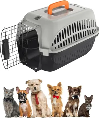 Produktbild von ACXIN Katzentransportbox, Transportbox Katze mit Metalltür Vorne Tiertransportbox,Transportbox Hund für Kleine Haustiere/Katzen/Hunde/Kaninchen bis 10 kg, Grau+Schwarz