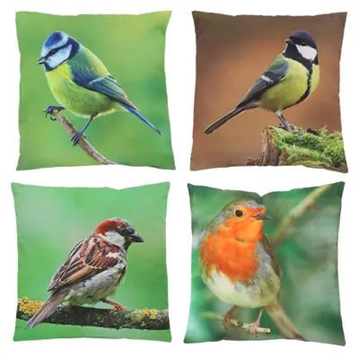Image de Assortiment de 4 coussins à imprimé oiseaux - Multicolore - 40 x 40 cm