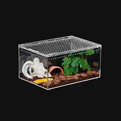 Produktbild von Reptilien Terrarium, 30 x 20 x 15 cm, Vogelspin Terrarium, Eremiten Habitat, für die Haltung