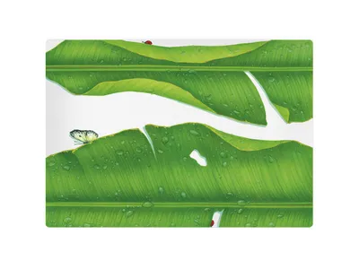 Produktbild von Taitù Freedom - Vorlegeplatte 40 x 29 cm