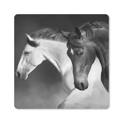 Produktbild von MuchoWow® Mauspad Mousepad Pferde - Tiere - Schwarz - Weiß - Porträt 20x20 cm - Mousepads - Maus Mat - Pad - Mausunterlage - Desk Mat - Bureauartikeln