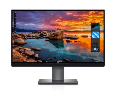 A computer monitor displaying a landscape image with software interface elements on the screen.