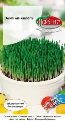 Produktbild von Ostersamen Hafer, """""""" grün"""""""" 10g - Torseed