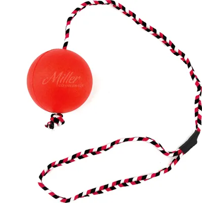 Produktbild von Kerbl Hundespielzeug Moosgummiball am Seil