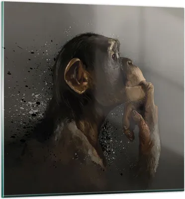 Produktbild von Bilder auf glas - Einteilig - Schimpanse Porträt Grafik - 60x60cm - Glasbilder - Wandbilder - Bilder - zum Aufhängen bereit - Wanddekoration aus Glas - Glas Bilder - Wandbild auf Glas - GAC60x60-4676