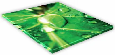 Zdjęcie produktu dla SZKLANA DESKA KUCHENNA 30x30 456f Kropla na liściu
