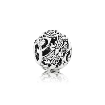 Produktbild von Pandora Charm Funkelnde Libelle 791733CZ