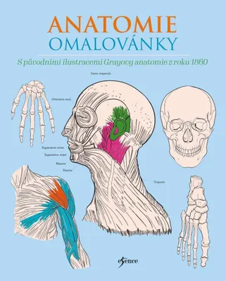 Immagine prodotto di Anatomie omalovánky