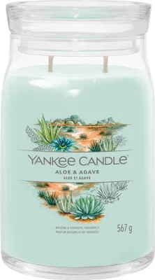 Zdjęcie produktu dla Yankee Candle Aloe & Agave 567 g