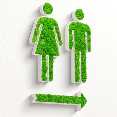 Produktbild von MOOSWERK WC Türschild Set mit Pfeil | Selbstklebendes Toilettenschild für Gäste-WC, Badezimmer & barrierefreie Toiletten | Natürliches Moosbild Deko-Schild für Tür oder Wand Weiß