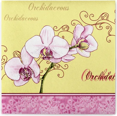 Produktbild von Airlaid Serviette Orchidee,  40 x 40 cm, 50 Stück - Mank
