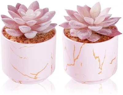 Produktbild von Kunstplanten Keramikpotten 2er Pack rosa Dekorationspflanzen