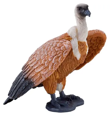 Zdjęcie produktu dla Mojo Fun Griffon Vulture, 3 lat(a), Wildlife, Brązowy, Biały, Polichlorek winylu (PVC)