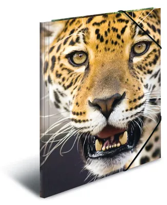 Produktbild von HERMA Sammelmappe A4 Leopard Polypropylen