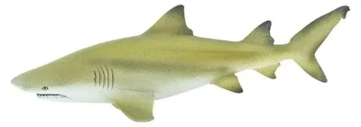 Produktbild von Safari Ltd Lemon Shark Yellow / Grey One Size