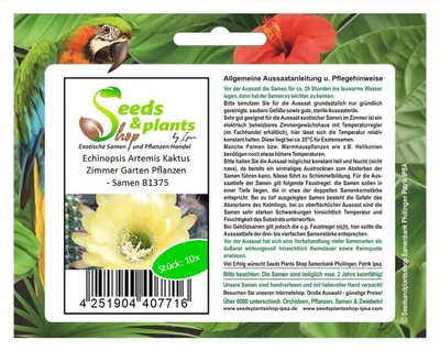 Produktbild von 10x Echinopsis Artemis Kaktus Zimmer Garten Pflanzen - Samen B1375