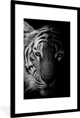 Produktbild von MuchoWow® Gerahmtes Poster Tiger - Tiere - Wild - Schwarz - Weiß 60x90 cm - Poster mit Schwarzem Bilderrahmen Wandposter Rahmen Foto Bilder - Dekoration - Wandposter Wohnzimmer - Hochwertig