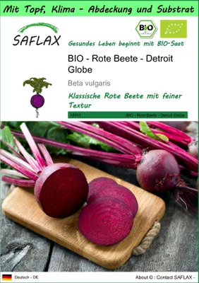 Produktbild von SAFLAX Garden to go - BIO - Rote Beete - Detroit Globe - Beta vulgaris - 100 Samen - Mit Topf, Klima - Deckel und Anzuchtsubstrat