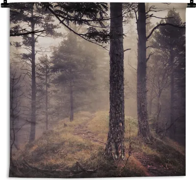 Produktbild von MuchoWow® Wandteppich Wandbehang Nebel - Herbstdekoration - Natur - Wald 60x60 cm Tapisserie Dekoration Wandtuch - Dekorationen - Wand Decke