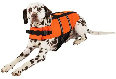 Produktbild von Schwimmweste M / 35 cm / 10-25 kg FLAMINGO