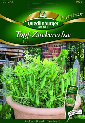 Produktbild von Topf-Zuckererbse 'Norli' Quedlinburger Gemüsesamen