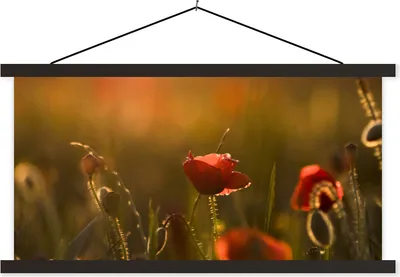 Produktbild von MuchoWow® Textilposter Mohn - Sonnenuntergang - Gold 90x45 cm mit schwarzem Rahmen - Klemmleisten