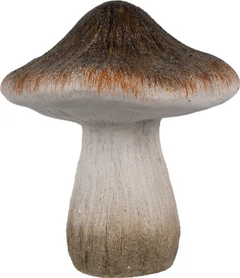 Zdjęcie produktu dla Clayre & Eef Dekoracja Grzyb Ø 11x12 cm Brązowo-biała ceramika