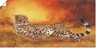 Produktbild von ARTland Poster Gepard Größe: 40x20 cm