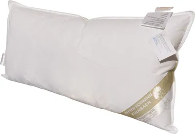 Produktbild von Betten Hofmann Ideal Kopfkissen 40x80 cm Daunenkissen 60% Daunenanteil 350 g weich