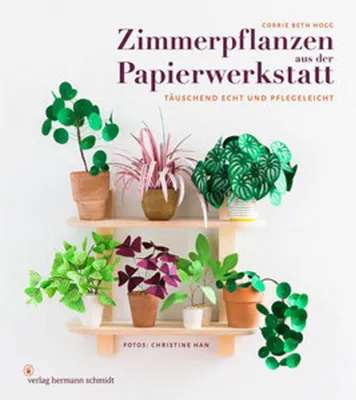 Produktbild von Zimmerpflanzen aus der Papierwerkstatt