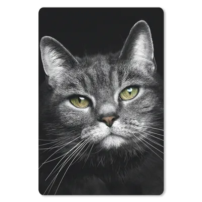 Produktbild von MuchoWow® Mauspad Mousepad Haustiere - Katze - Tiere - Schwarz - Weiß 40x60 cm - Mousepads - Maus Mat - Pad - Mausunterlage - Schreibtisch Accesoire