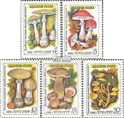 Produktbild von Briefmarken Sowjetunion 1986 Mi 5603v-5607v (kompl.Ausg.) postfrisch Giftpilze