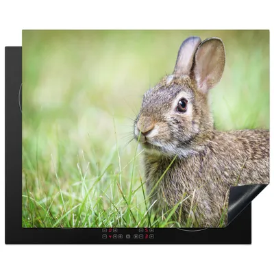 Produktbild von KitchenYeah© Herdabdeckplatte Kaninchen - Tiere - Gras , 65x52cm, Küche Deko, Glaskeramikkochfeld Herdabdeckung, Abdeckplatte fùr Kochfeld