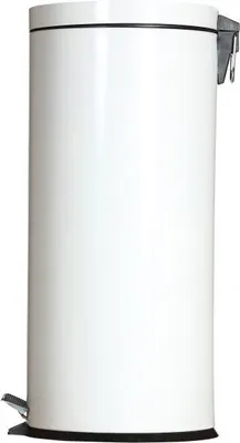 Image de Collecteur Poubelle à Pédale 30L - Probbax