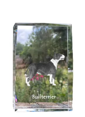 Produktbild von Bull Terrier, Bullterrier - Kristall mit einem Hundebild, Bild im Glas, moderne Ausstellung des Art-Dog-Bildes.