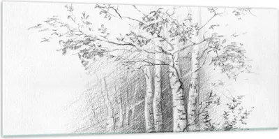 Produktbild von Bilder auf glas - Einteilig - Skizze Wald Birke - 120x50cm - Glasbilder - Wandbilder - Bilder - zum Aufhängen bereit - Wanddekoration aus Glas - Glas Bilder - Wandbild auf Glas - GAB120x50-4280