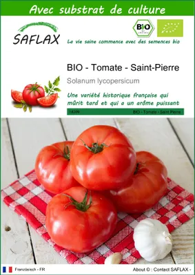 Image de SAFLAX -- Tomate - Saint-Pierre - 15 graines - Avec substrat - Solanum