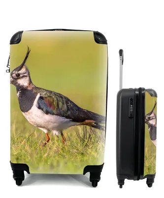 Produktbild von MuchoWow® Koffer Handgepäck Trolley Rollkoffer Kleine Reisekoffer mit 4 Rollen - Vogel - Gras - Natur - Tiere - Kiebitz - Cabin Size < 55x40x23 cm & 55x40x20 cm - Fotokoffer - Kabinenkoffer - Boardgepäck - Reise-Box - Reisekoffer - Reisegepäck - Koffer mit Bild - Trolley für Kinder