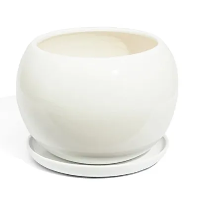 A white ceramic pot with a saucer on a white background.