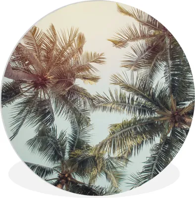 Produktbild von MuchoWow® Rundes Wandbild - Runde Bilder Palme - Sommer - Tropisch Ø 60 cm Kreis Wanddekoration Kunststoff - Wandkreis - Wandschmuck - Wand Kreis - Das Schlafzimmer - Die Bilder - Wandmalerei - Kunst für das Haus - das Plastik