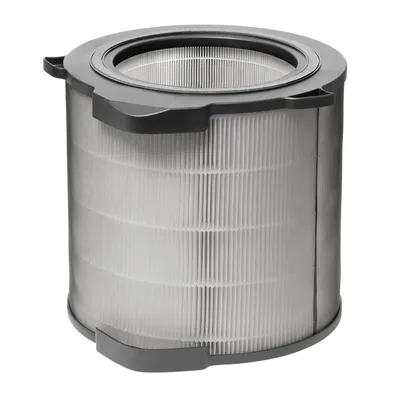 Image de AEG AFDCAR6 Filtre de protection pour AX91-604 filtre les virus les bactéries les poussières fines le pollen
